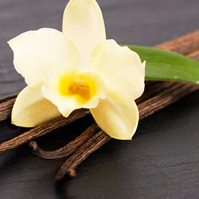 Cereria Mollá - Premium Reed Diffuser